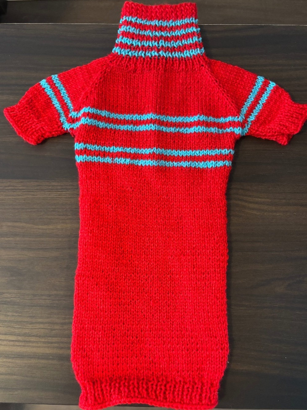 Handmade Red & Blue Knit Dog Sweater